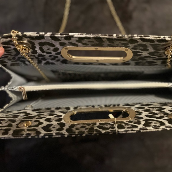 Gray leopard - Picture 8 of 10